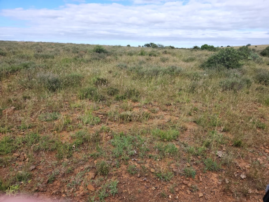 Commercial Property for Sale in Somerset East Rural Eastern Cape